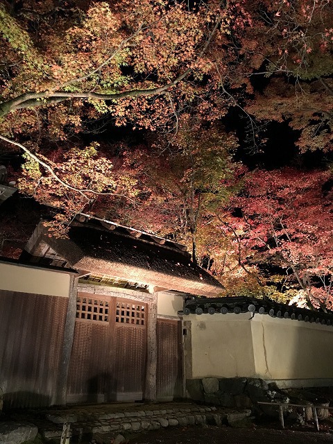京都 世界遺産見学! 京都 世界遺産見学!