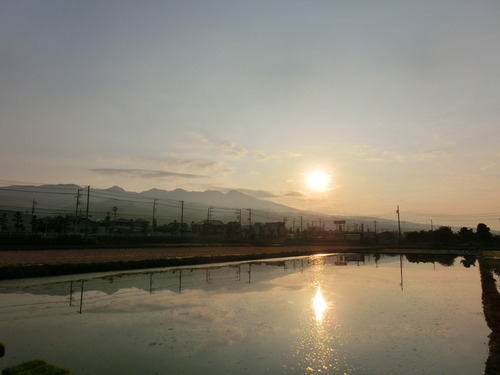 今朝の富士山～散歩編～