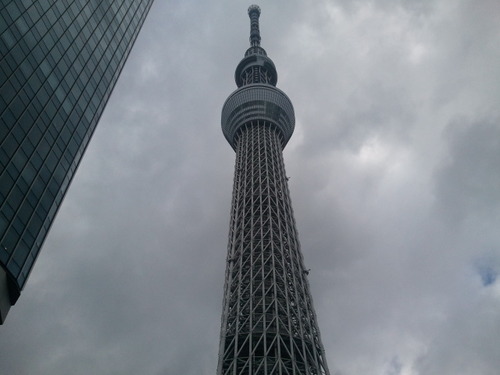 「空の木」