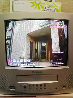 ◎祝!TV出演〜!!!