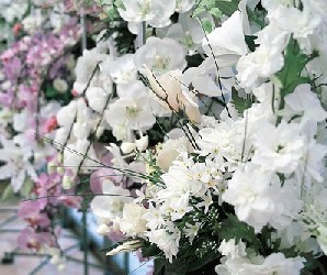 出会いと別れ