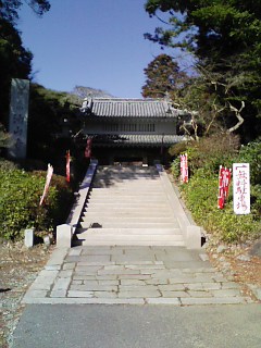 ♪遅い初詣