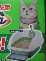 初めての・・・留守番!