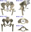 ☆整体で骨盤矯正 その2