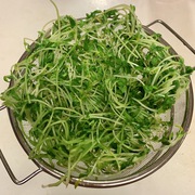 即席発酵・豆苗のみそ和え♪ 即席発酵・豆苗のみそ和え♪