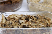 きのこの栄養価を最大限に引き出した発酵cooking! きのこの栄養価を最大限に引き出した発酵cooking!