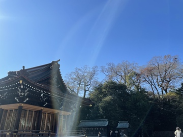 12月15日の月中の参拝・瀧川神社→三嶋大社 12月15日の月中の参拝・瀧川神社→三嶋大社