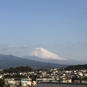 富士山と沼津の光長寺の桜♪