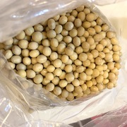 超プレミアム・自家製みそ仕込み! 超プレミアム・自家製みそ仕込み!