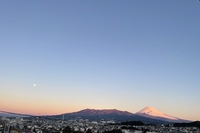 今朝の美しい月と富士山・Aちゃんお手伝い♪