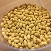 毎年恒例!元日の味噌仕込み♪ 毎年恒例!元日の味噌仕込み♪