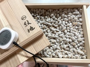 豆麹…上手に醸しました!!! 豆麹…上手に醸しました!!!