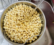 豆麹…上手に醸しました!!! 豆麹…上手に醸しました!!!