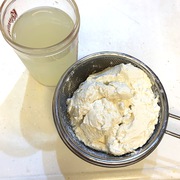 ビフィズス菌の種で豆乳ギリシャヨーグルト♪ ビフィズス菌の種で豆乳ギリシャヨーグルト♪