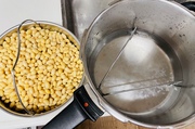 豆麹…上手に醸しました!!! 豆麹…上手に醸しました!!!