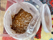 「いきいきペール=魔法のバケツ」に手前味噌を入れてみました! 「いきいきペール=魔法のバケツ」に手前味噌を入れてみました!