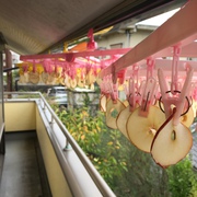 干しりんご 制作中…♪ 干しりんご 制作中…♪
