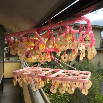 干しりんご 制作中…♪ 干しりんご 制作中…♪