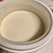 ビフィズス菌の種で豆乳ギリシャヨーグルト♪ ビフィズス菌の種で豆乳ギリシャヨーグルト♪