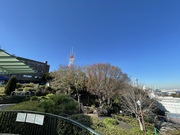 横浜 港の見える丘公園〜中華街・シークレットセミナー 横浜 港の見える丘公園〜中華街・シークレットセミナー