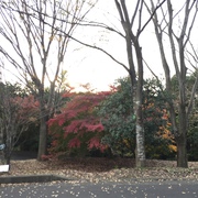 第1回静岡オーガニックフェスティバル in 沼津 第1回静岡オーガニックフェスティバル in 沼津