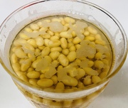 豆麹…上手に醸しました!!! 豆麹…上手に醸しました!!!
