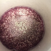 発酵スイーツ♪コンテスト準備中… 発酵スイーツ♪コンテスト準備中…