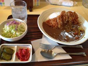 カツカレーって最高の贅沢だ☆ カツカレーって最高の贅沢だ☆