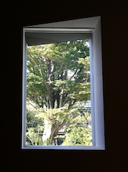 今朝の富士山・大岡信ことば館特別展その5♪