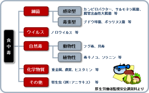 食中毒にご用心 食中毒にご用心