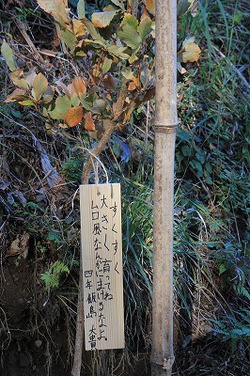 子どもたちの願い