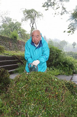 興徳寺をきれいにする日 興徳寺をきれいにする日