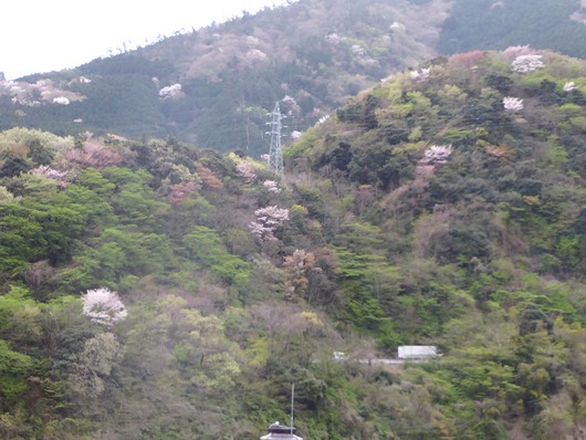 箱根に未来の山を見た