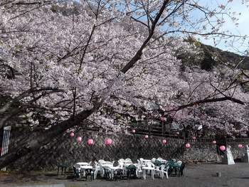 4月14日 “旬のスタイル”を着こなそう! 4月14日 “旬のスタイル”を着こなそう!