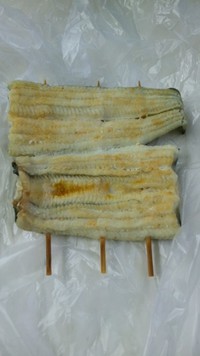 国産うなぎ