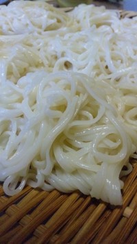 お中元シーズン！　稲庭うどん