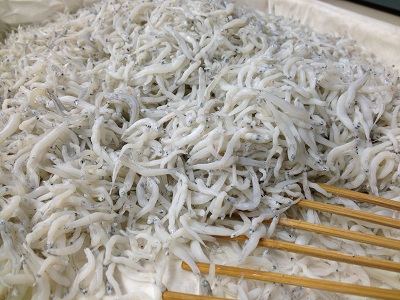 明日の裏メニュー?