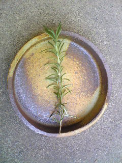 最近の器