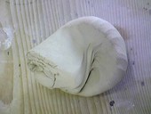 なんでしょ?