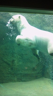 日本平動物園