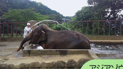日本平動物園