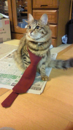 自宅の外装塗り替え