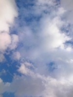 昨日とうってかわって