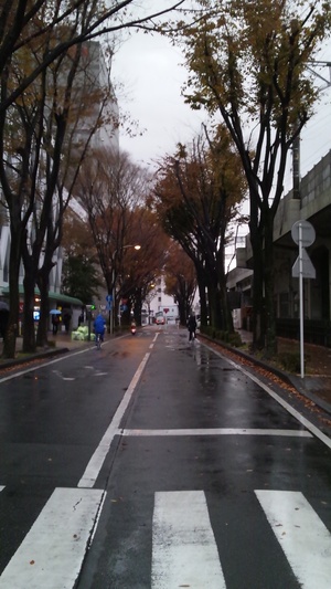 今朝の風景