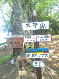 沼津アルプス縦走トレイル