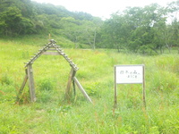 旅するように里山を跳ぶ