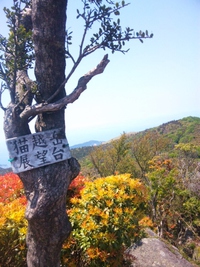 伊豆山稜線トレイル