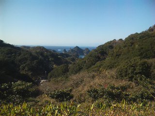 伊豆下田へ行ってきました