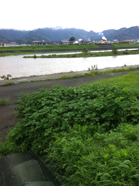 台風12号が通り過ぎて