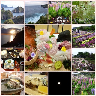 視察旅行 視察旅行